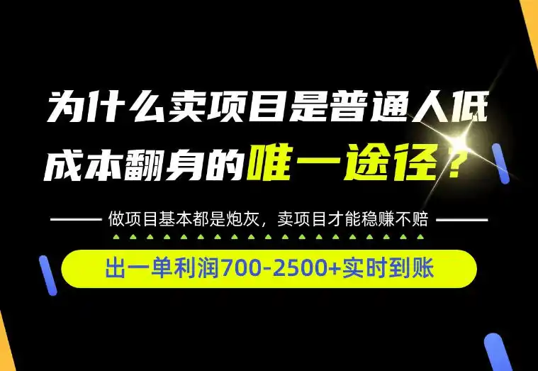 普通人如何靠互联网賺取自己的第一桶金！全类目实操型教学，看完你全都懂了！【揭秘】-大伟资源网