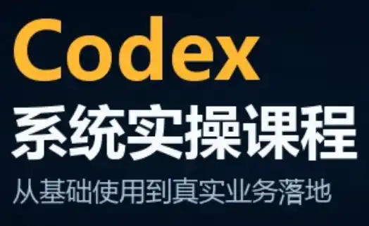 codex系统实操课程(更新10月)-大伟资源网