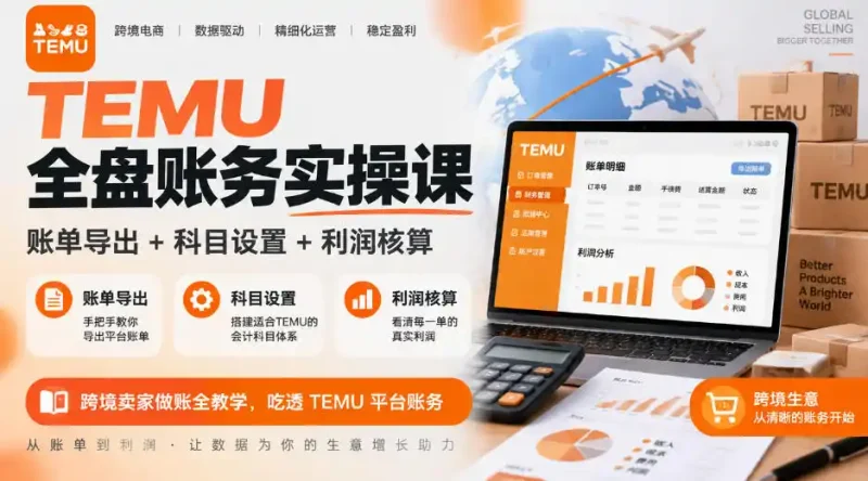 TEMU全盘账务实操课｜账单导出+科目设置+利润核算，跨境卖家做账全教学，吃透TEMU平台账务-大伟资源网