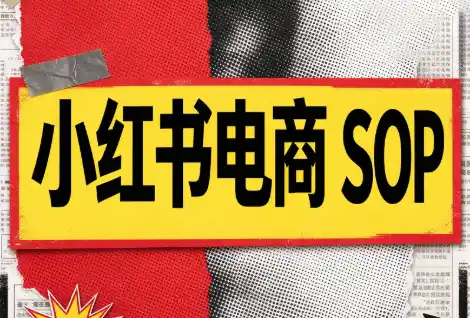 书豪必胜小红书电商sop(更新9月)-大伟资源网