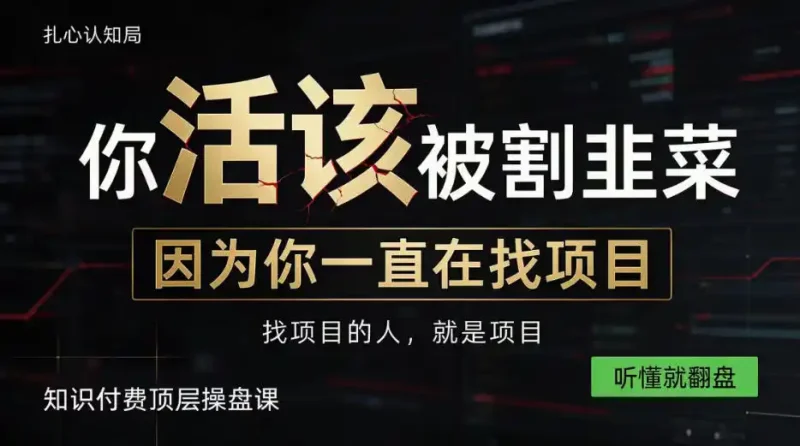 做项目不如卖项目，做知识付费自己当老板，知识付费顶层操盘课，听懂就翻盘【揭秘】-大伟资源网