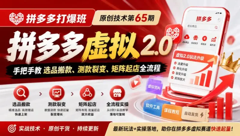 《拼多多打爆班》原创技术第65期，拼多多虚拟2.0，手把手教选品搬款、测款裂变、矩阵起店全流程-大伟资源网