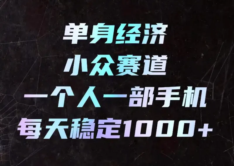 单身经济小众赛道，一个人一部手机，每天稳定1000+，利用下班碎片时间即可【揭秘】-大伟资源网