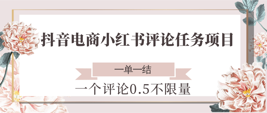 抖音电商小红书评论任务项目，一个评论0.5，一单一结 不限量-大伟资源网