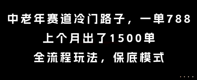 中老年赛道冷门路子，一单788，上个月出了1500单，全流程玩法，保底模式【揭秘】-大伟资源网