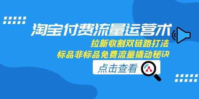 淘宝付费流量运营术，拉新收割双链路打法，标品非标品免费流量撬动秘诀-大伟资源网