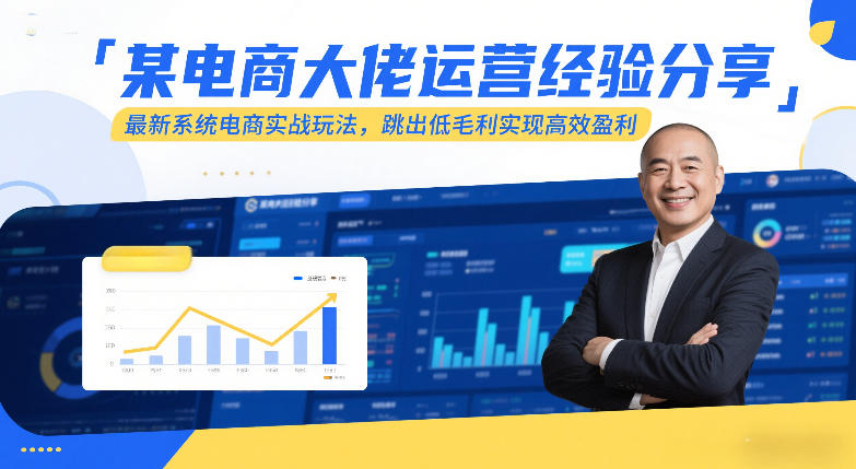 某电商大佬运营经验分享，最新系统电商实战玩法，跳出低毛利实现高效盈利(更新)-大伟资源网