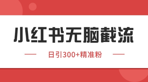 小红书截流同行客源，独家野路子获客玩法 日引200+暴力获客【揭秘】-大伟资源网