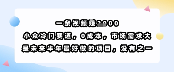 一条视频挣1k，小众冷门赛道，0成本，市场需求大，是未来半年最好做的项目，没有之一-大伟资源网