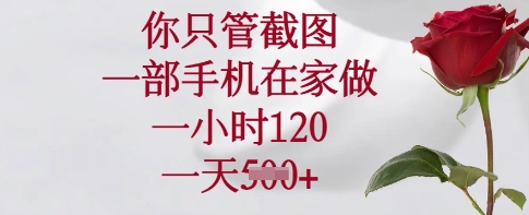 你只管截图，一部手机在家做，一小时120.一天5张【揭秘】-大伟资源网