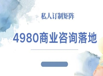 4980商业咨询师落地课程-ip运营高客单教程-大伟资源网