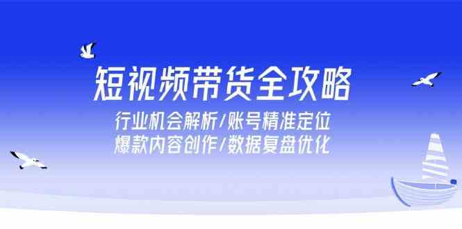 短视频带货全攻略，行业机会解析/账号精准定位/爆款内容创作/数据复盘优化-大伟资源网