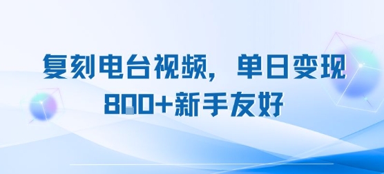 复刻电台视频，单日变现8张+新手友好，长期可做-大伟资源网