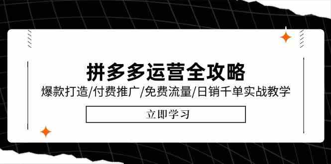 拼多多运营全攻略，爆款打造/付费推广/免费流量/日销千单实战教学/6月更新-大伟资源网