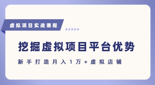 抓住虚拟项目各平台优势，新手轻松月入1W+(给出具体建议)-大伟资源网
