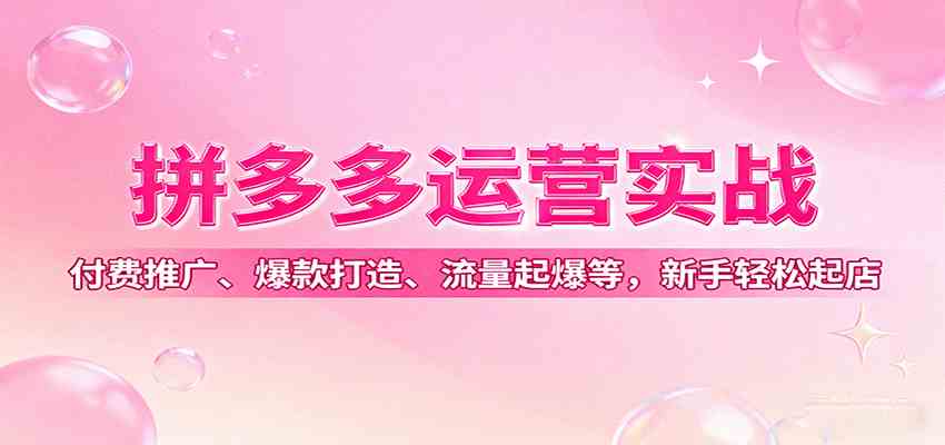 拼多多运营实战，付费推广、爆款打造、流量起爆等，新手轻松起店-大伟资源网