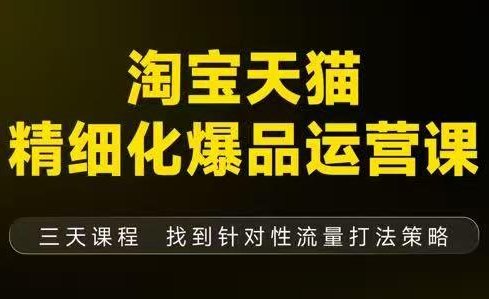 猫课子幽·淘宝天猫精细化爆品运营【音频+字幕+文档】(9月12-14杭州线下课)-大伟资源网