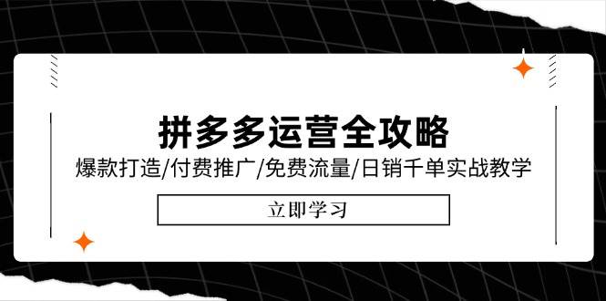 （15085期）拼多多运营全攻略，爆款打造/付费推广/免费流量/日销千单实战教学/6月更新-大伟资源网