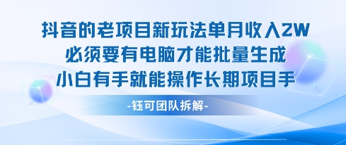 老项目新玩法单月收入2W小白有手就能操作长期项目-大伟资源网