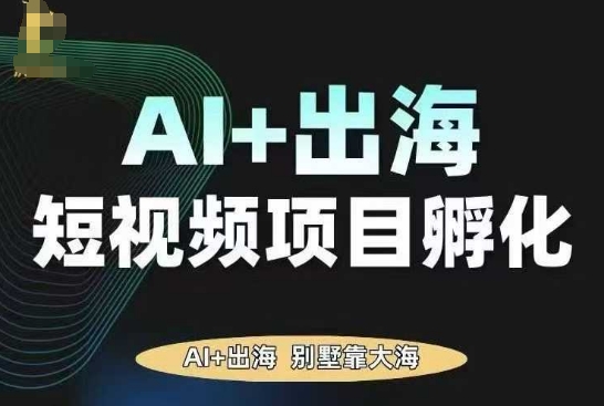 AI·TikTok AI+出海短视频项目孵化，陪你从0-1借助AI实现出海变现-大伟资源网