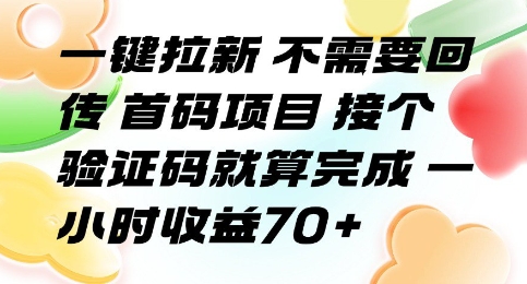 一键拉新 不需要回传 首码项目 接个验证码就算完成 一小时收益70+【揭秘】-大伟资源网