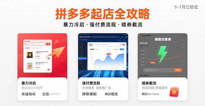 （15670期）拼多多起店全攻略，暴力冷启，强付费流程，暗券截流，5-7月已验证的方法-大伟资源网