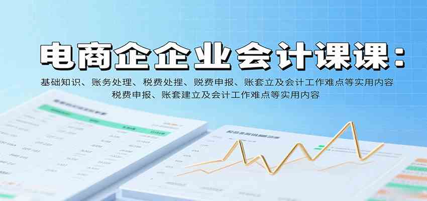 电商企业会计课：基础知识、账务处理、税费申报、账套建立及会计工作难点等实用内容-大伟资源网