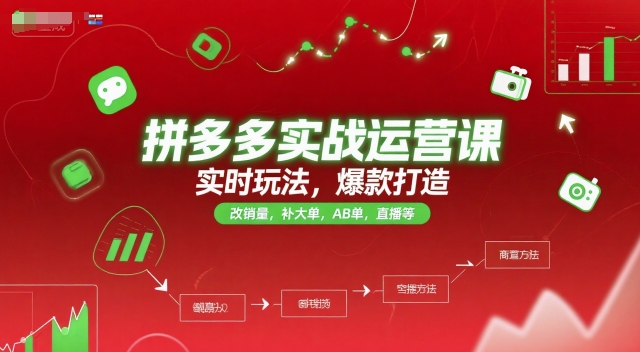 拼多多实战运营课，实时玩法，爆款打造，改销量，补大单，AB单，直播等（更新2025月）-大伟资源网