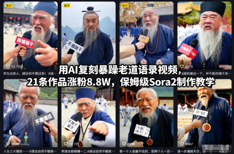 用AI复刻暴躁老道语录视频，21条作品涨粉8.8W，保姆级Sora2制作教学-大伟资源网