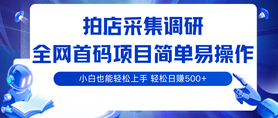 拍店采集调研，全网首码项目，简单易操作， 小白也能轻松上手，轻松日赚500+-大伟资源网