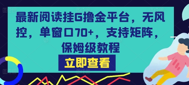 最新阅读挂G撸金平台，无风控，单窗口70+，支持矩阵，保姆级教程【揭秘】-大伟资源网