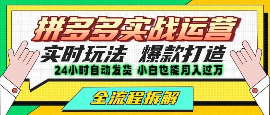 拼多多最新实战运营高投产：长久稳定项目，单店利润一天三位数-大伟资源网