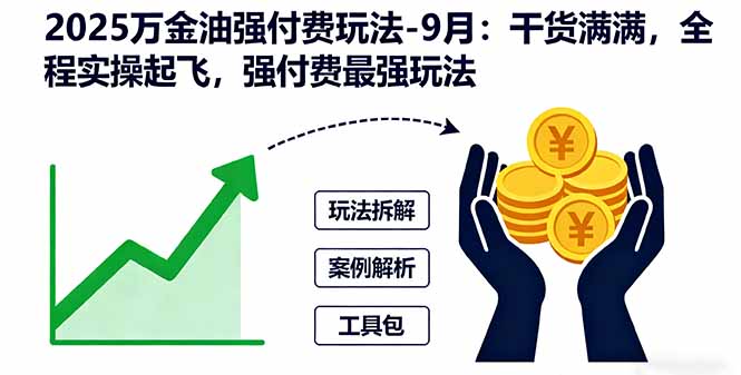 2025万金油强付费玩法-9月：干货满满，全程实操起飞，强付费最强玩法-大伟资源网