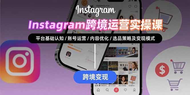 （15644期）Instagram跨境运营实战：平台认知/账号运营/内容优化/选品策略及变现模式-大伟资源网