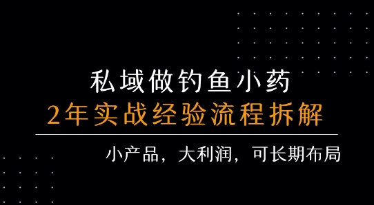 私域做钓鱼小药 每单利润3张+ 详细流程拆解-大伟资源网