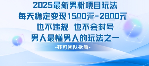 2025最新男粉项目玩法每天变现1k+也不违规也不会封号男人最懂男人的玩法-大伟资源网