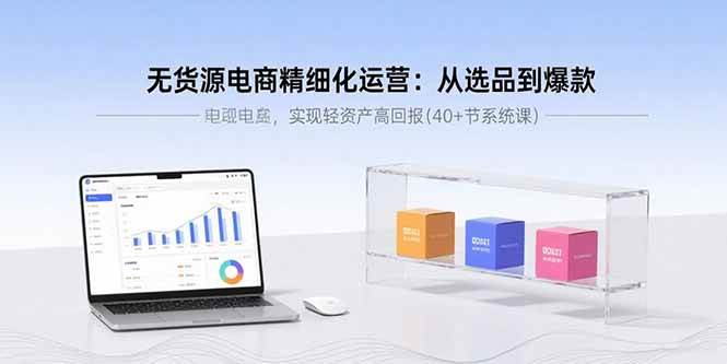 （15896期）无货源电商精细化运营：从选品到爆款，实现轻资产高回报(40+节系统课)-大伟资源网