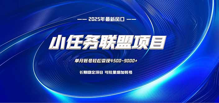 小任务联盟项目：一台电脑每天只需10分钟，轻松简单稳定-大伟资源网