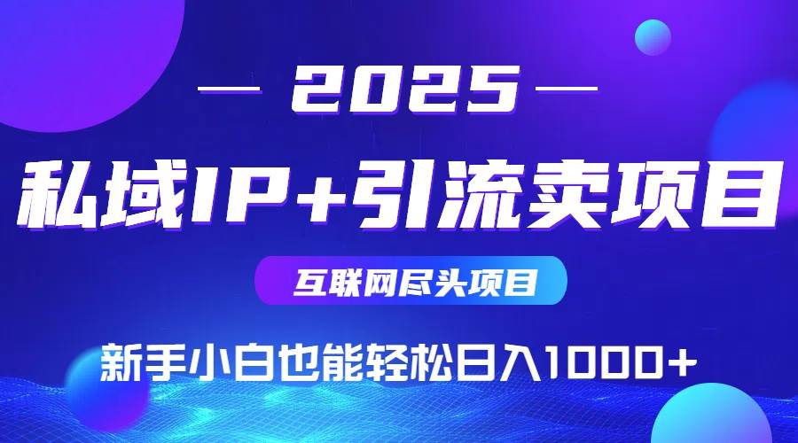 （15531期）2025网创尽头项目，私域IP+引流，新手小白也能在家日入1000+-大伟资源网