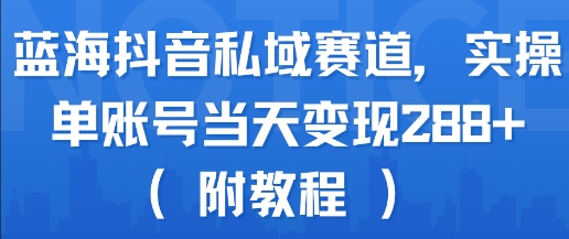 蓝海抖音私域赛道，实操单账号当天变现288+(附教程)-大伟资源网
