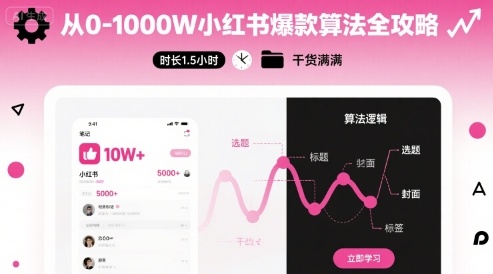 从0-1000W小红书爆款算法全攻略，时长1.5小时，干货满满-大伟资源网