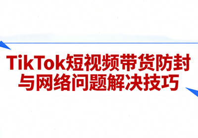 老谭·TikTok短视频带货实拍课程-大伟资源网
