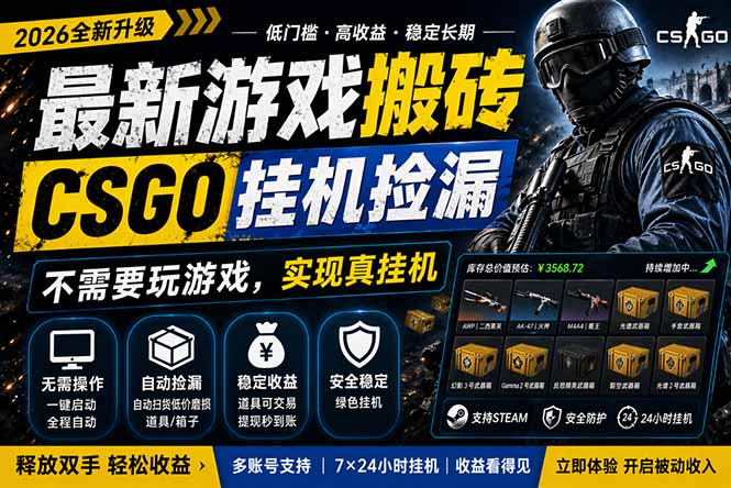 最新游戏搬砖，CSGO纯挂机，不需要玩游戏，实现真挂机，月入1W+，五一小高峰上车可吃肉，…-大伟资源网