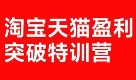 玺承·淘宝天猫盈利突破特训营(25年12月线下课)【音频+字幕】-大伟资源网