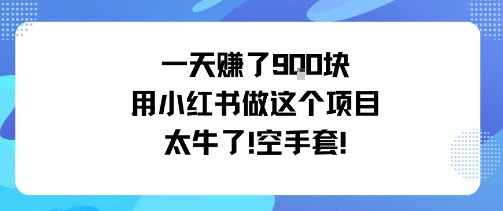 一天挣了9张用小红书做这个项目太牛了，空手套-大伟资源网