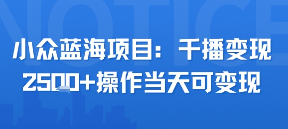 小众蓝海项目，千播变现2.5k+操作当天可变现-大伟资源网
