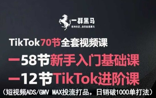 TikTok全套视频课，新手入门+进阶课，短视频ADS-GMV MAX投流打品，日销破1000单打法-大伟资源网