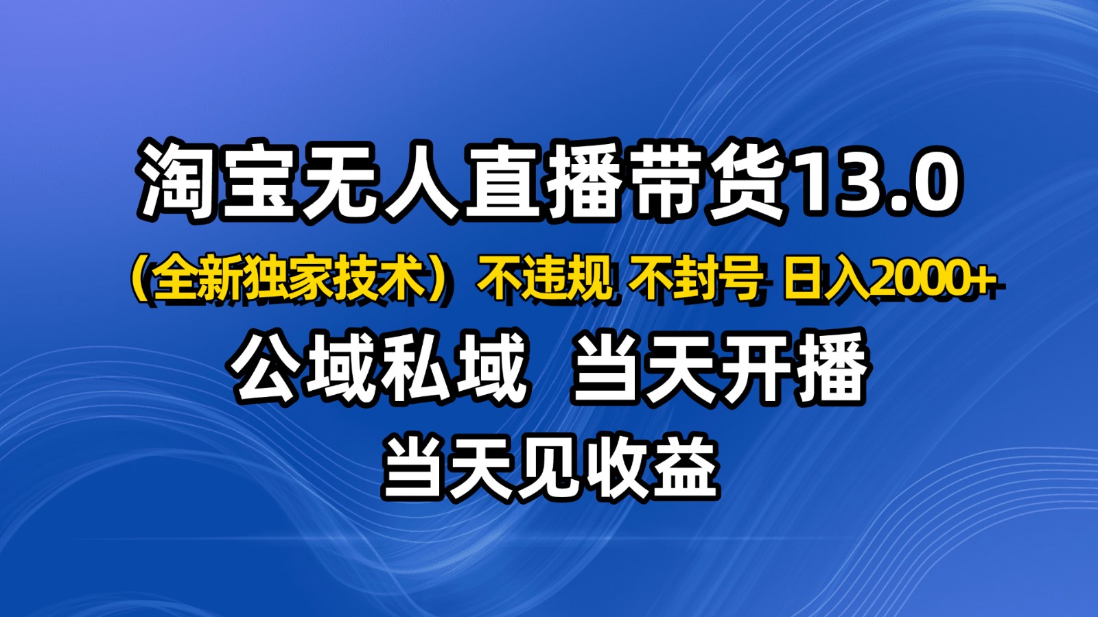 淘宝无人直播13.0，公域私域技术，不封号，不违规 布局下半年旺季赛道，日入2000+-大伟资源网
