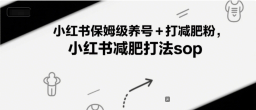 小红书保姆级养号+打减肥粉，小红书减肥打法sop-大伟资源网