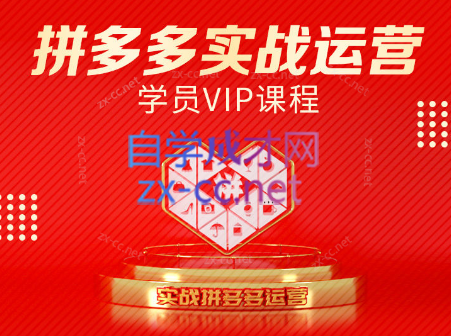 推易电商·拼多多实战运营课(更新2025月)-大伟资源网